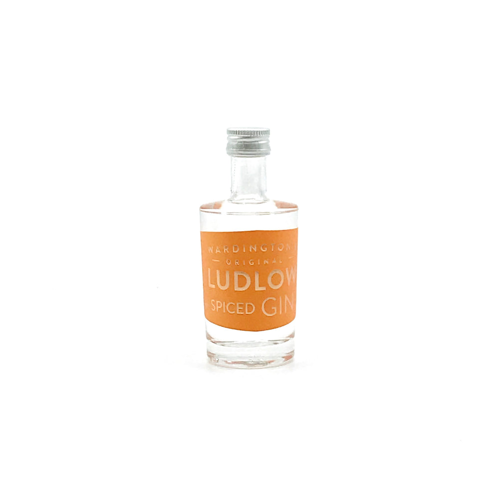 Ludlow Spiced Gin 5cl