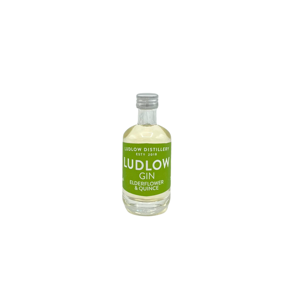 Ludlow Fruit Gin No.3 Elderflower & Quince 5cl