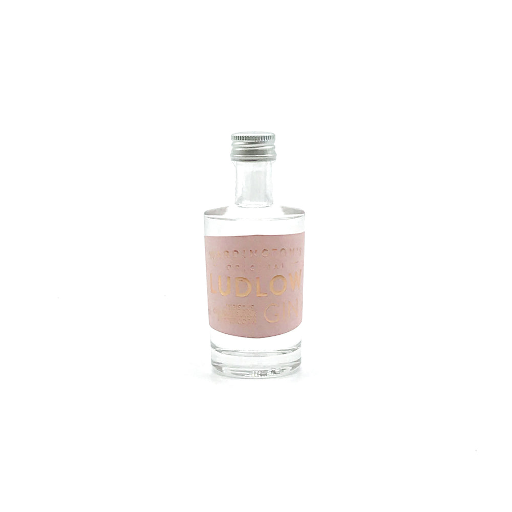 
            
                Load image into Gallery viewer, Ludlow Hibiscus, Orange &amp;amp; Pink Peppercorn Gin 5cl
            
        