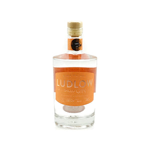 Ludlow Spiced Gin