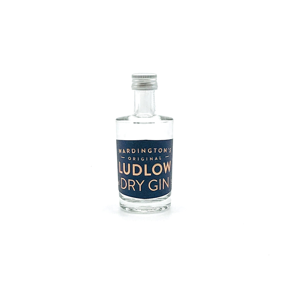 Ludlow Dry Gin 5cl
